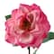 Garden Bloom Orlane Rose Stem Ashland&#x2122;